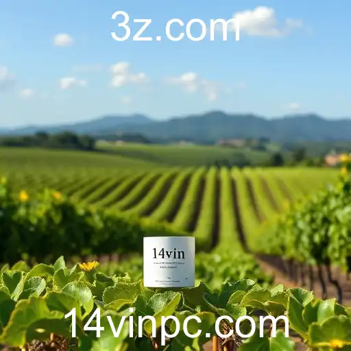 A Ascensão de 14vin no Cenário de Jogos Online